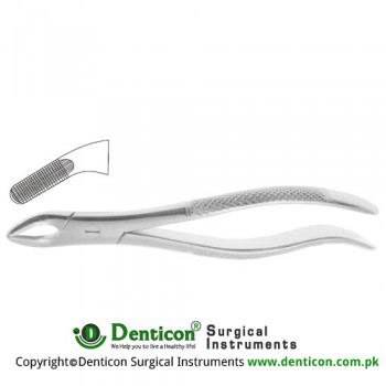 English Pattern Tooth Extracting Forcep Fig. 76 (For Upper Roots) Stainless Steel, Standard